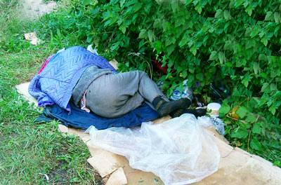 Теперь вот Николай лежит под кустом... Фото Анастасии ГРИГОРЬЕВОЙ.