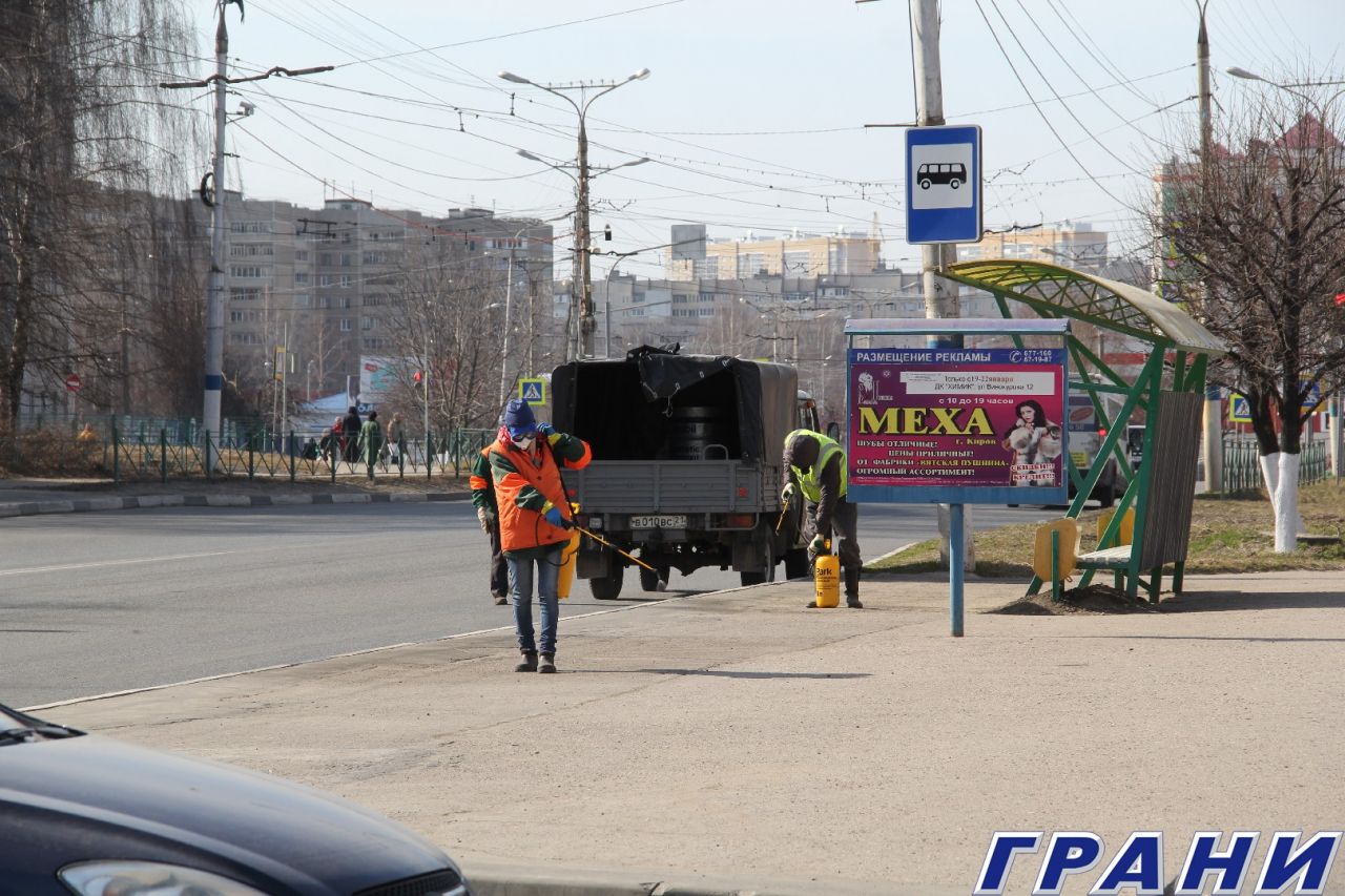 Справимся всем миром. Сотни специалистов стремятся не допустить вирус в  Новочебоксарск | Грани