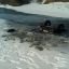 Выезд на лед на автомобиле может закончиться трагически. Так произошло в марте этого года возле села Моргауши.  Фото с сайта www.21.mchs.gov.ru