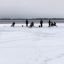Группа рыбаков облюбовала опасное место — в трех метрах от кромки льда. После беседы со спасателями экстремалы переместились ближе к берегу.