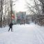 Лыжня в Ельниковской роще не пустует никогда.