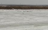 Новости: Лед тронулся, а рыбаки сидят - новости Чебоксары, Чувашия