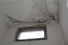 Следы старых затоплений на потолке во втором подъезде видны отчетливо.Химеры красивой жизни