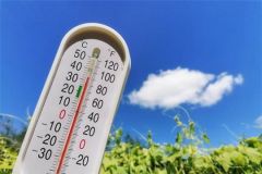 Жара в ЧувашииВ Чувашии зафиксировали суховей аномальная жара 