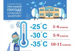 Инфографика Управления образования ЧебоксарКак учатся школьники в морозы (инфографика)