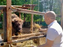 С заботой о животных Зоопарк Ельниковская роща 
