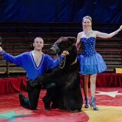 Борцы с серыми буднями. Как новочебоксарская семья создала свой цирк цирк Андрей и Олеся БЕРЕЗЕНЦЕВЫ 