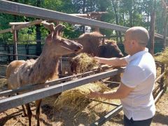 Министр сельского хозяйства Чувашии Сергей Артамонов обещает, что поставки сена в наш зоопарк станут регулярными. Фото предоставили организаторыС заботой о животных Зоопарк Ельниковская роща 