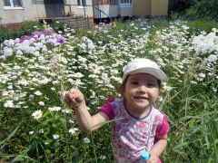 Внучка Нелли Альгешкиной Аня обожает яркие цветы.  Фото Нелли АльгешкинойФлоксовый рай “Самая красивая клумба Новочебоксар­ска” конкурс 
