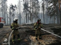 Фото: МЧС Марий ЭлВ Марий Эл активно горят 66,5 га леса лесные пожары 