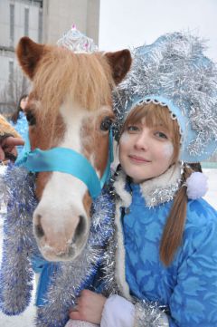Copy_of_DSC_0327.JPGПони, маленькие кони,  для детей на все готовы Новый год-2014 
