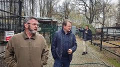 Главный архитектор Московского зоопарка посетил Ельниковскую рощу Зоопарк Ельниковская роща 
