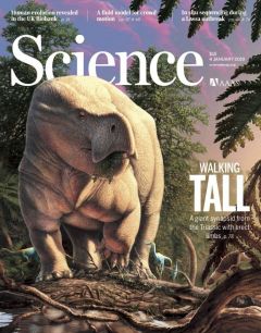 Обложка первого номера Science за 2019 год. Фото из Твиттера @sciencemagazineScience назвал главные научные достижения и провалы 2018 года наука 
