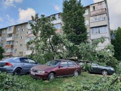  Несколько машин пострадали во время непогоды в Новочебоксарске