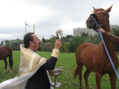 У лошадей праздник.  Фото автораУ коней высокие покровители