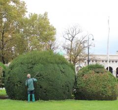 Садовники следят за тем, чтобы деревья в парках держали форму.Моцарт, штрудель, Бельведер Колесо путешествий 