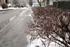 Из-за ледяного дождя 25 декабря в Новочебоксарске отменяются занятия в школах