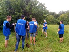 Союз молодежи «Химпрома» навел порядок в Ельниковской роще Химпром Ельниковская роща 