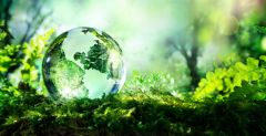  РСХБ и Росприроднадзор договорились о проведении совместных мероприятий в сфере экологии в 2023 году Россельхозбанк экология 
