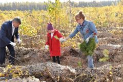 Олег Николаев принял участие во Всероссийской акции «Сохраним лес». Посади лес 