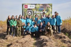 Олег Николаев принял участие во Всероссийской акции «Сохраним лес». Посади лес 