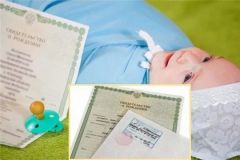 В Новочебоксарске зарегистрировано рождение 300 ребенка ЗАГС 