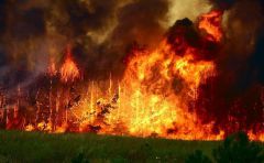 В Чувашии полыхают лесные пожары пожары 