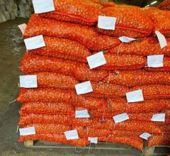  Аграрии Чувашии наращивают экспорт лука-севка экспорт развитие АПК Россельхознадзор 