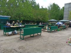 Реконструкция мини-рынка «Московский» в Чебоксарах начнется в апреле  столица 