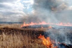 С начала весны в Чувашии зарегистрировали 65 природных пожаров