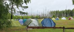 Если есть палатка у тебя, то ты уже турист!В лес за наукой Школа дикой природы 