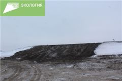 СвалкаНа озеленение Канашской свалки направят 1,3 млн рублей Реализация нацпроекта 