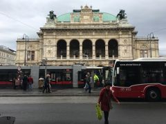Трамваи останавливаются прямо у Венской оперы, что очень удобно.Моцарт, штрудель, Бельведер Колесо путешествий 