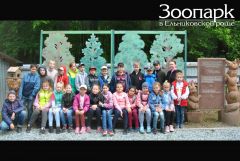Детишкам очень нравится зоопаркДети из пришкольных лагерей Новочебоксарска посетили Ельниковскую рощу Ельниковская роща 