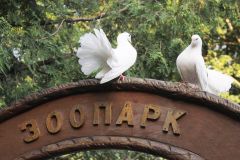 Зоопарк Ельниковской рощи встречает делегацию Московского зоопарка  Зоопарк 