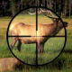 За 2021 год в Чувашии завели пять уголовных дел о незаконной охоте