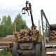 Фонд "Перле" доставит лесоматериал из Кири и Алтышева в зону СВО 