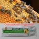 В Чувашии выявлен контрафактный лекарственный препарат для лечения болезней пчел