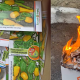 В Чувашии выявлена партия семян перца, зараженных повиликой