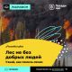 В России проходит марафон против лесных пожаров экология 