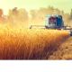 В 2023 году Россельхозбанк на 25% увеличил поддержку аграриев Чувашии Россельхозбанк развитие АПК 