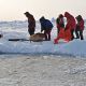 Мюнхгаузен направляется на полюс Экспедиция на Северный полюс На лыжах — к Северному полюсу барон Мюнхгаузен 