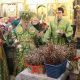 Православные жители Чувашии встретили Вербное воскресенье