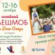 Мой папа – пример и опора! В России пройдет большой семейный флешмоб 16 октября - День отца 