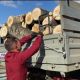 Матери бойцов СВО из Канашского округа помогли заготовить дрова на зиму