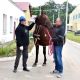 Готова ли конно-спортивная школа к проведению Кубка Главы Чувашии