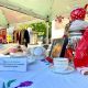 День города Чебоксары: Арт-пикник "Чапай зовет на чай"