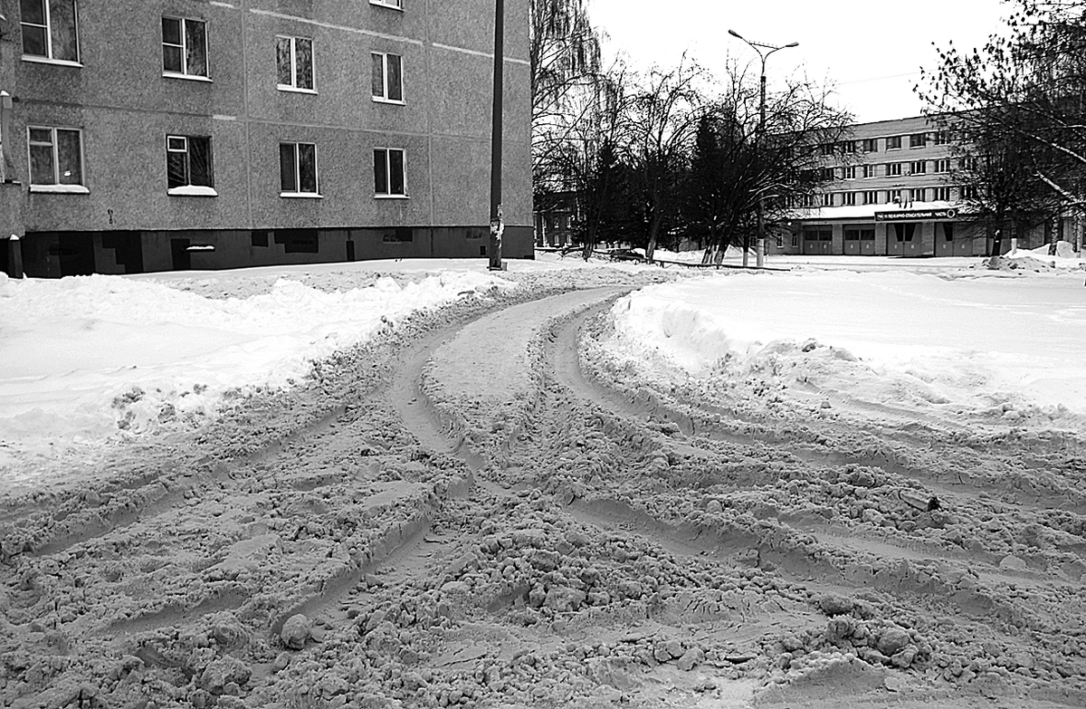 Кто в доме хозяин. Тема очистки от снега в топе интересов новочебоксарцев |  Грани