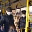 Обязательное ношение масок в общественном транспорте предусмотрено указом Главы Чувашии от 20 июня 2020 года.
