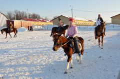 Тренировки на свежем воздухе.  Фото Валерия Бакланова.Лошади обживают новые конюшни Конный спорт 